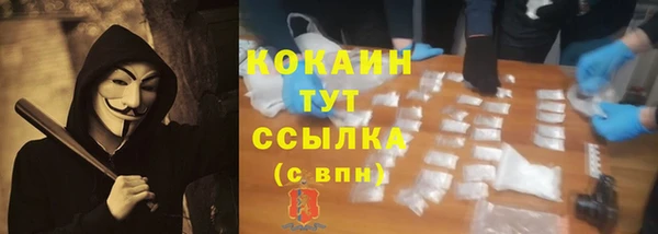 ALPHA PVP Горнозаводск
