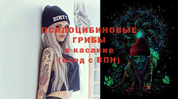 прущая мука Горняк